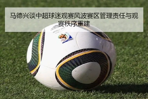 马德兴谈中超球迷观赛风波赛区管理责任与观赛秩序重建